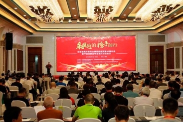 第40屆全國(guó)玻璃纖維專(zhuān)業(yè)情報(bào)網(wǎng)年會(huì)在桐召開(kāi)